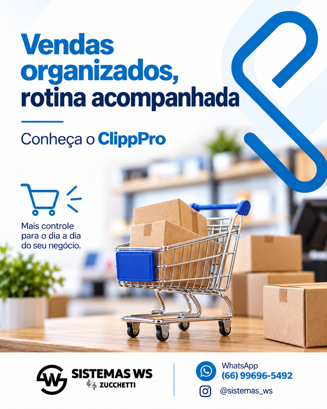 Arte da Sistemas WS apresentando ClippPro, com carrinho de compras e produtos
